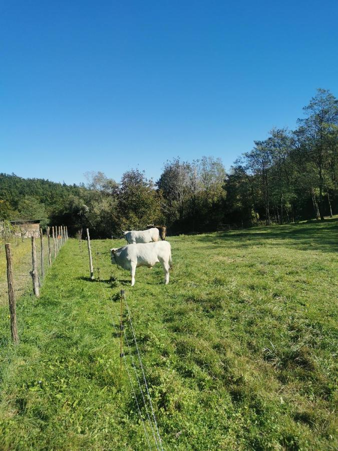 Apartma Baladur Brezovica pri Gradinu Exteriör bild